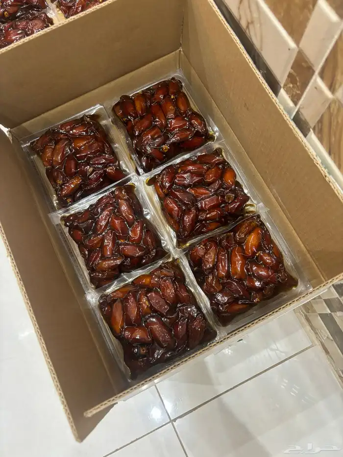 تمر صفري بيشه 0