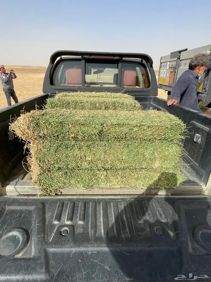 رشاش برسيم محوري للإيجار 4