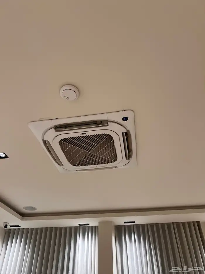 مطعم للتقبيل 6