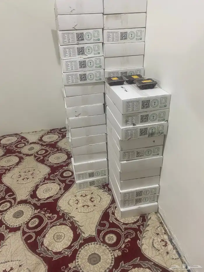 تمرصفري للبيع انتاج هاذي السنه 1