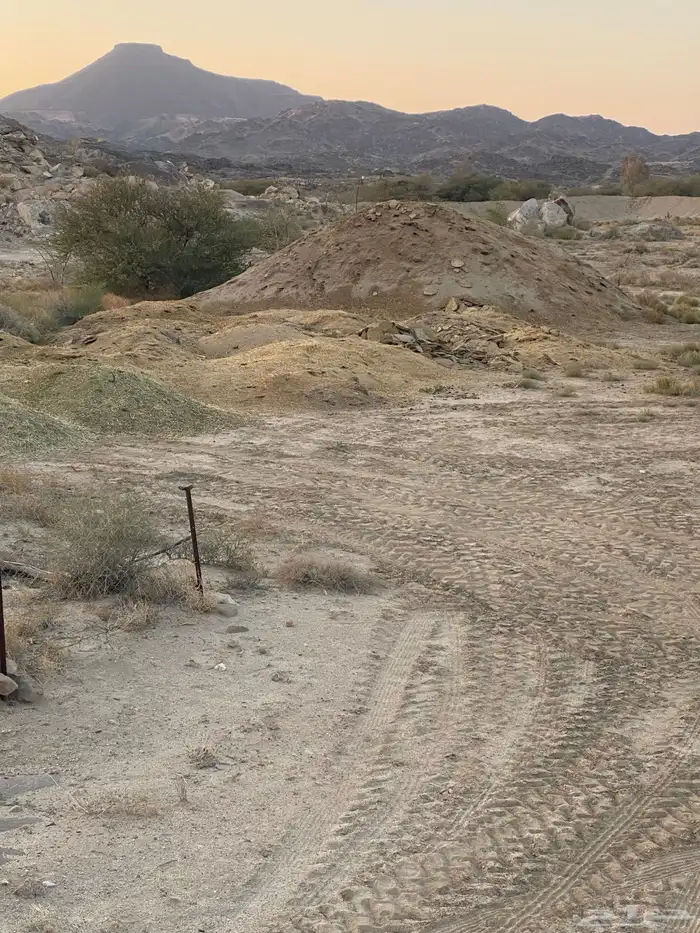 سماد غنم طبيعي 3