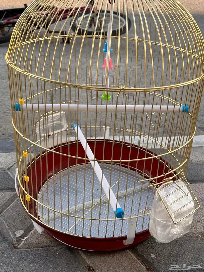 سيكل رامبو اصلي المقاس 20 و قفص طيور 2