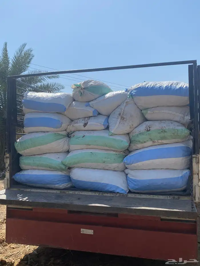 تمر حق حلال نظيف 2