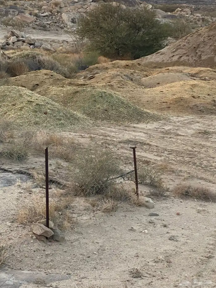 سماد غنم طبيعي 0