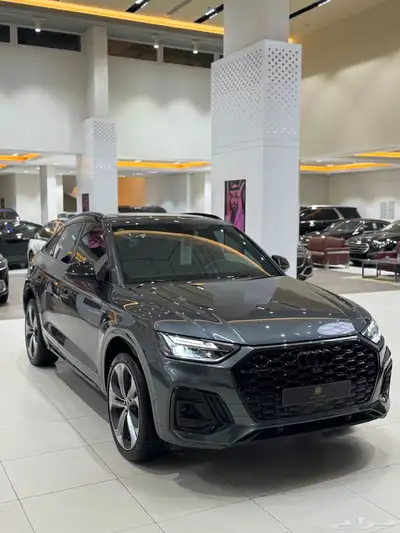 Audi index