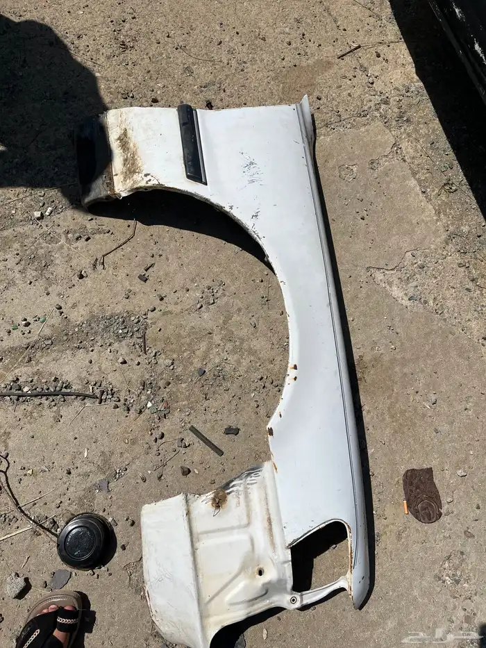 كبوت ورفارف كرسيدا 91 1