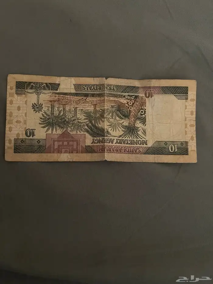 عشرة الملك فهد نضيفة 0