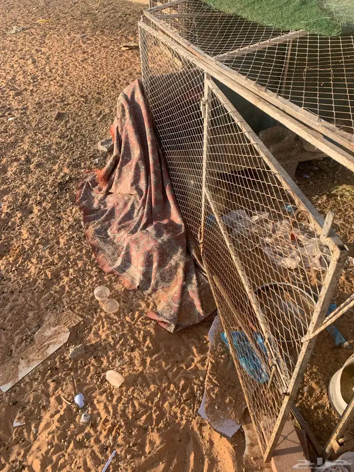 شبك نظايفه مترين فيه مترين عرض وطوال 3
