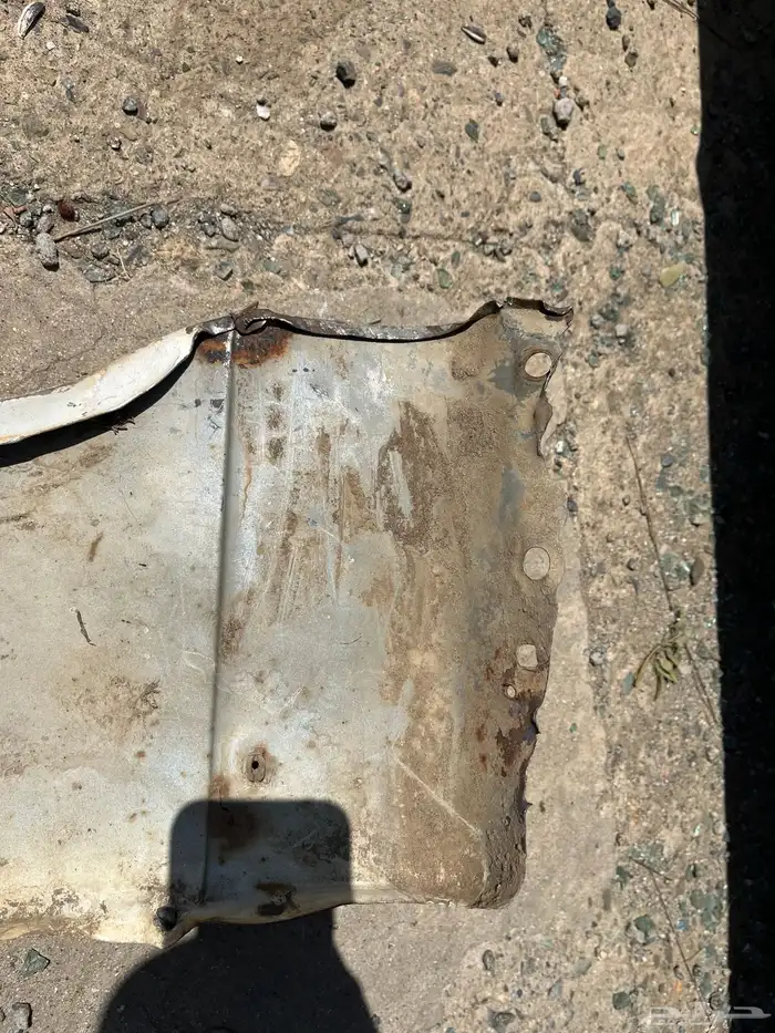 كبوت ورفارف كرسيدا 91 3