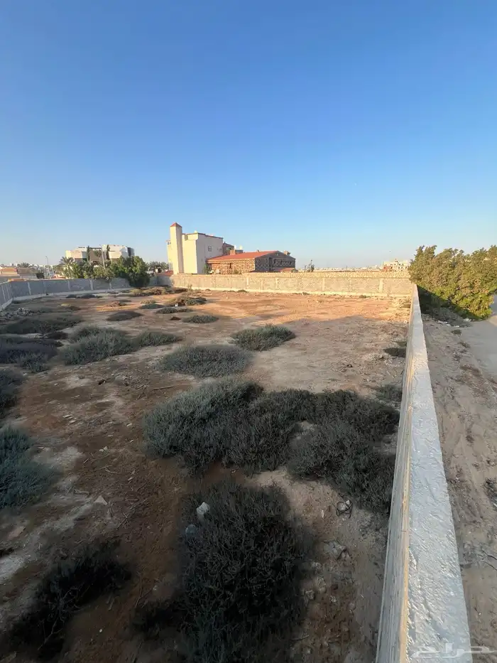 للبيع ارض مخطط باسهل حي اللؤلؤ مقسومه نصين مس 336 على حديقه 4