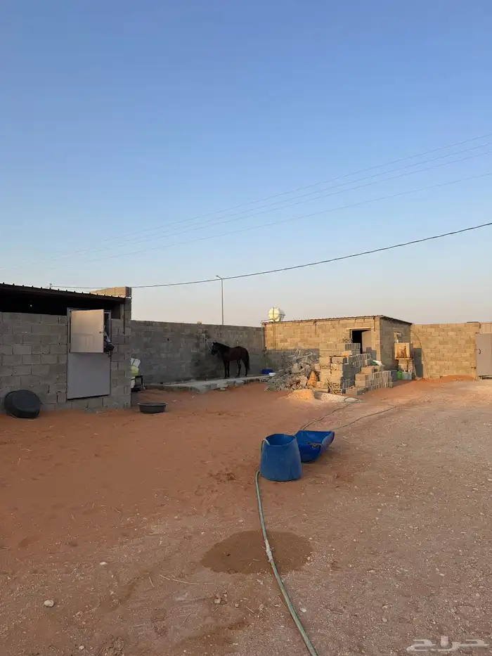 مربط الرهوان المزاحمية(الخرارة) 6