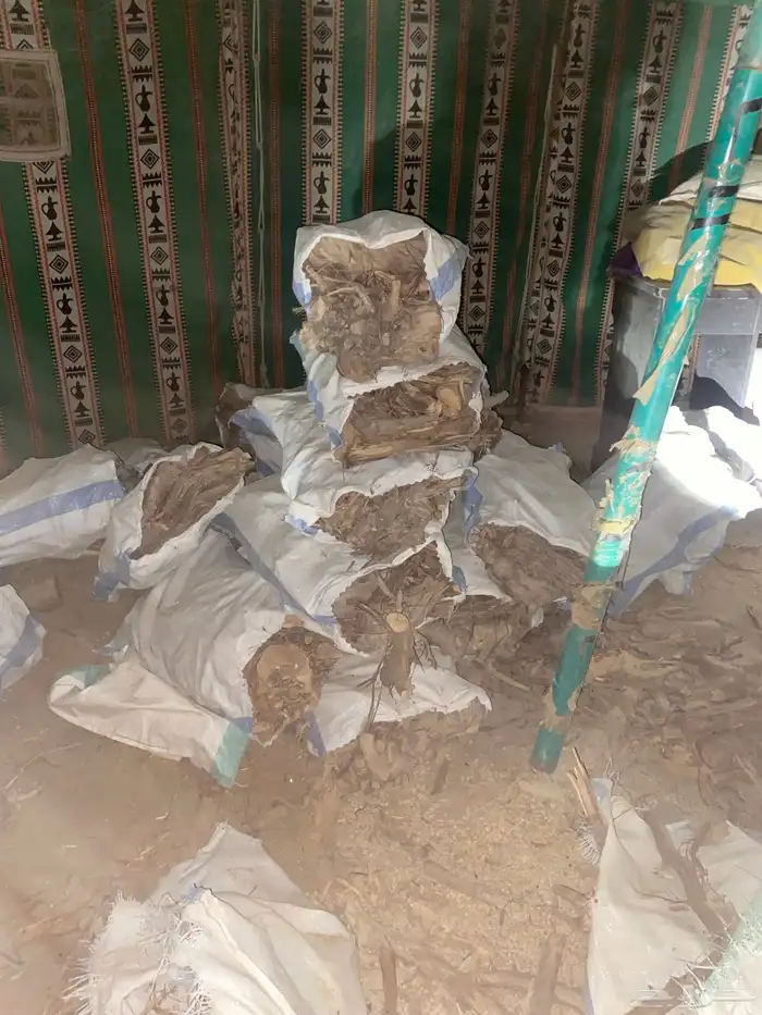 حطب عنب شرط شرط يابس وطيب وحطب كفو 1