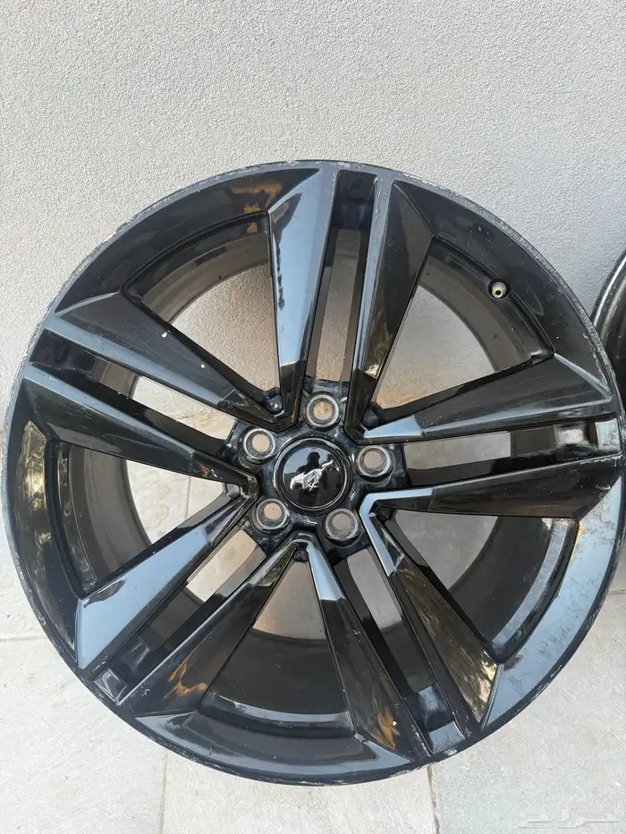 جنوط موستنج  موستنق 0