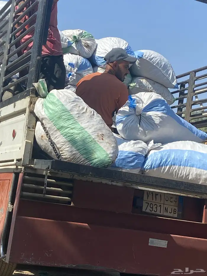 تمر حق حلال نظيف 7