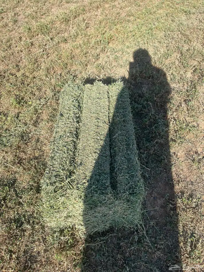 رشاش برسيم محوري للإيجار 1