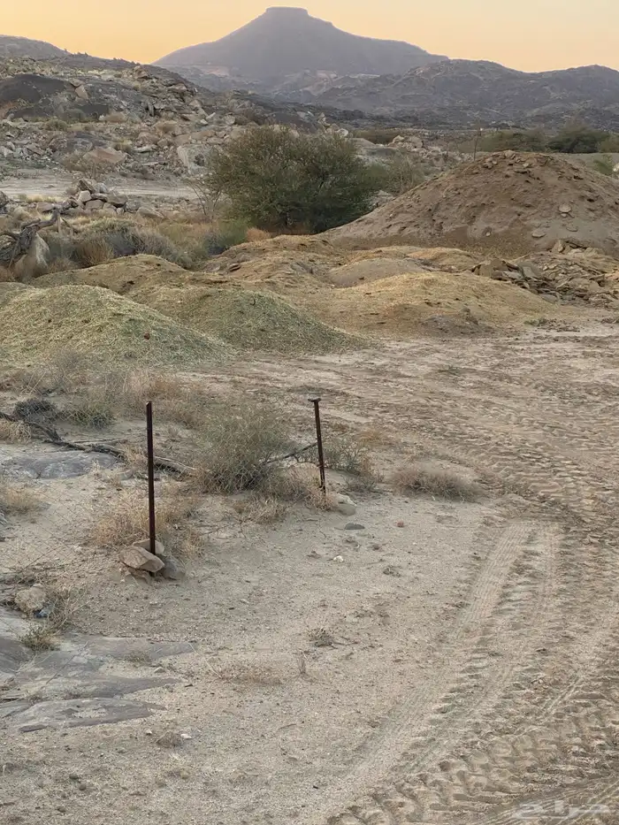 سماد غنم طبيعي 2