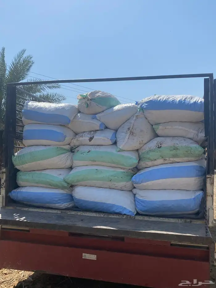 تمر حق حلال نظيف 3