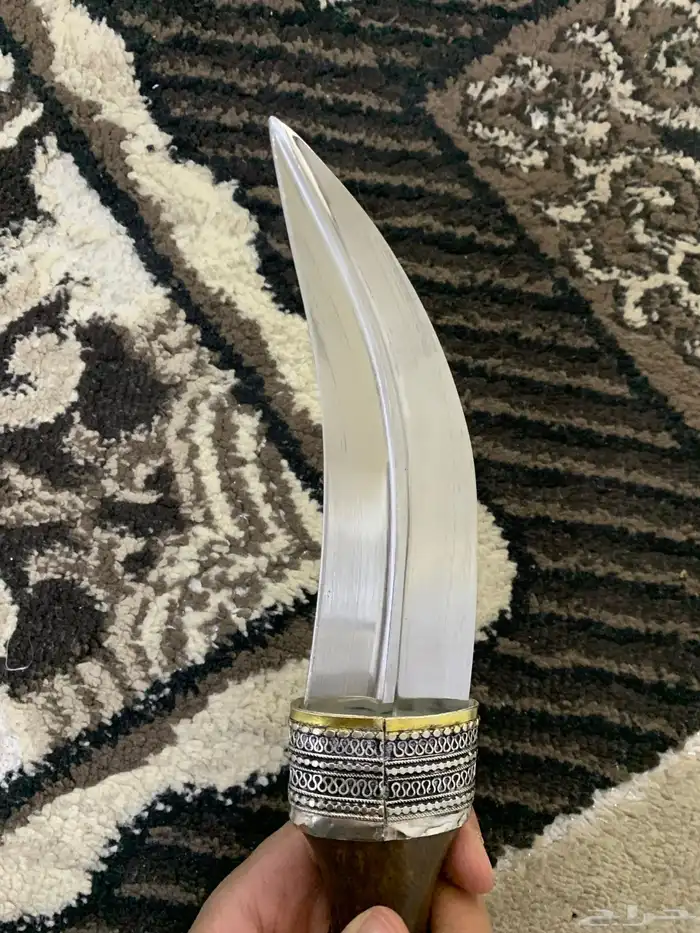 جنبيه كفو كفو 1
