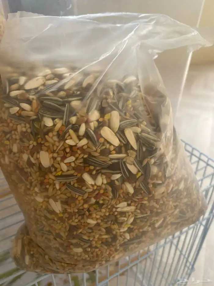 زوج روز مع الفرخ وفطوم 4