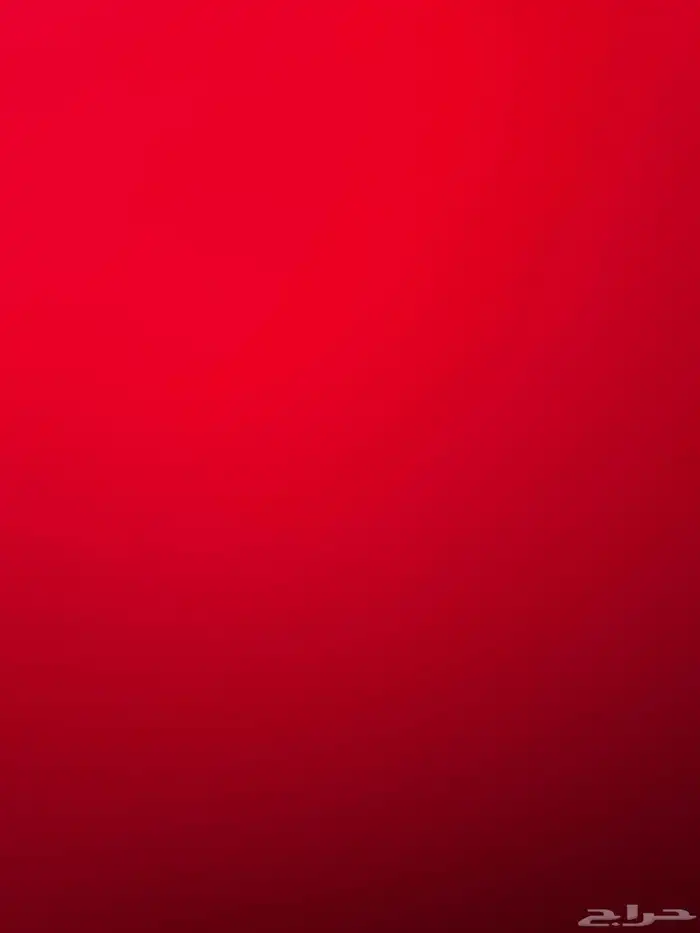 مطلوب دجاجة فرخة. الموقع بيشة 0