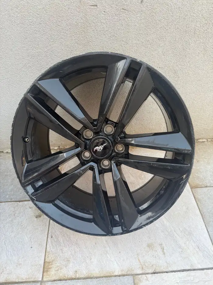 جنوط موستنج  موستنق 2