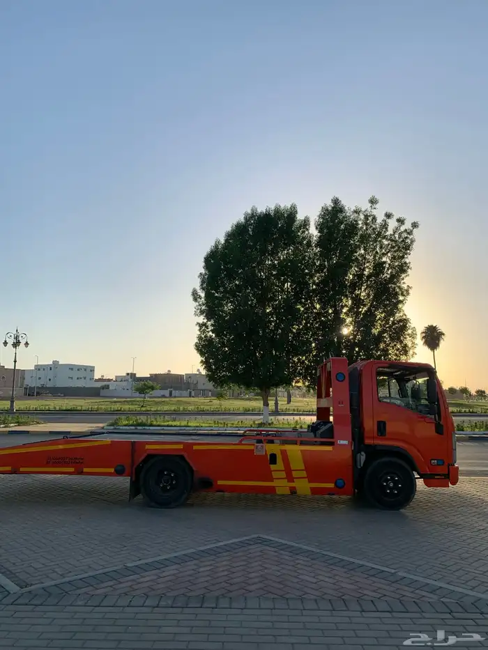 سطحه تيماء 24 0