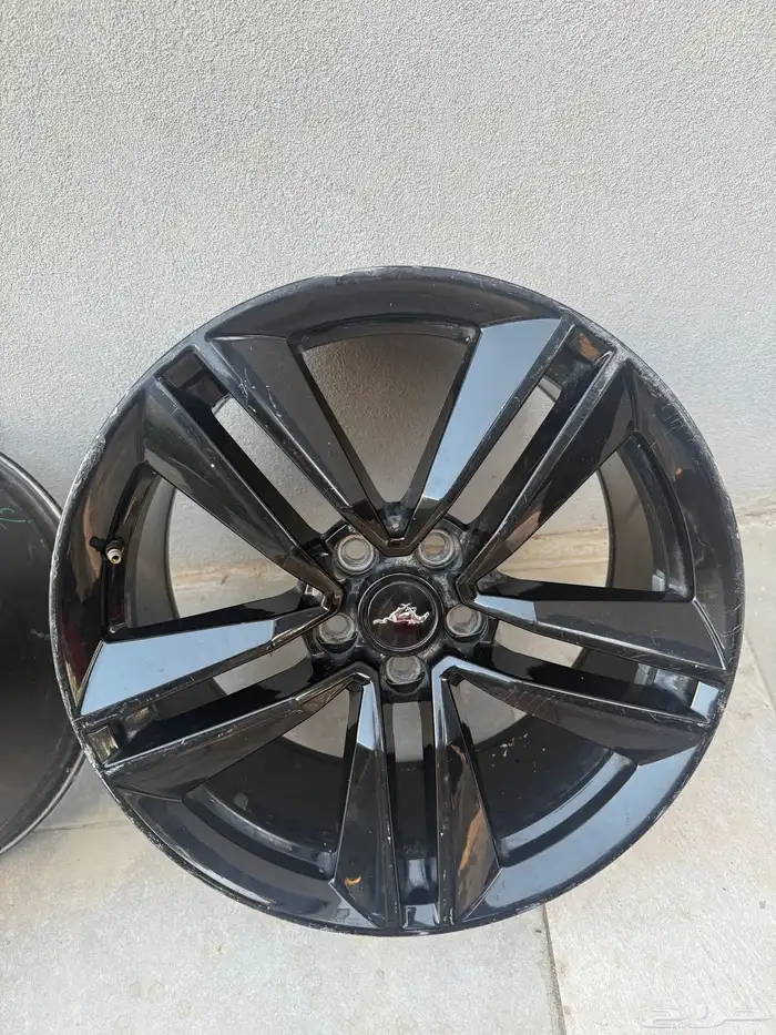 جنوط موستنج  موستنق 1