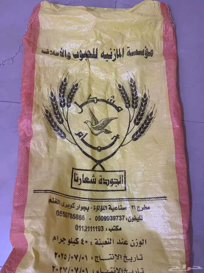 دجاج بلدي 9