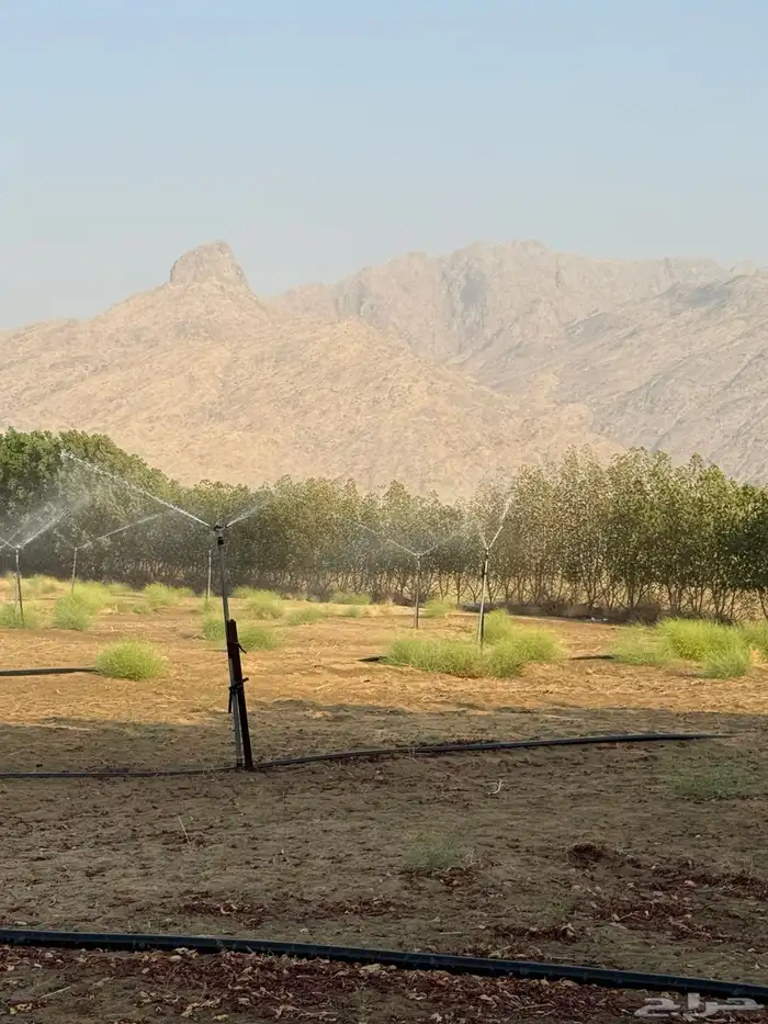 أدوات الزراعه 100 رشاش ودينمو 10 حصان وسلك 10 مليي نحاس 0