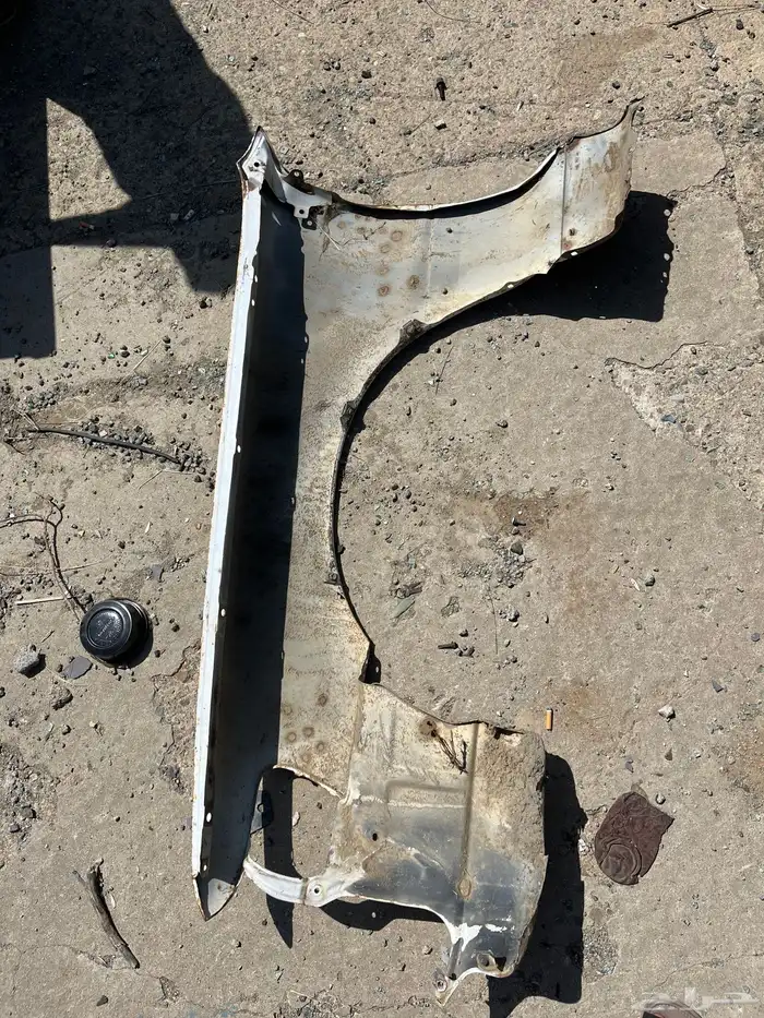 كبوت ورفارف كرسيدا 91 2