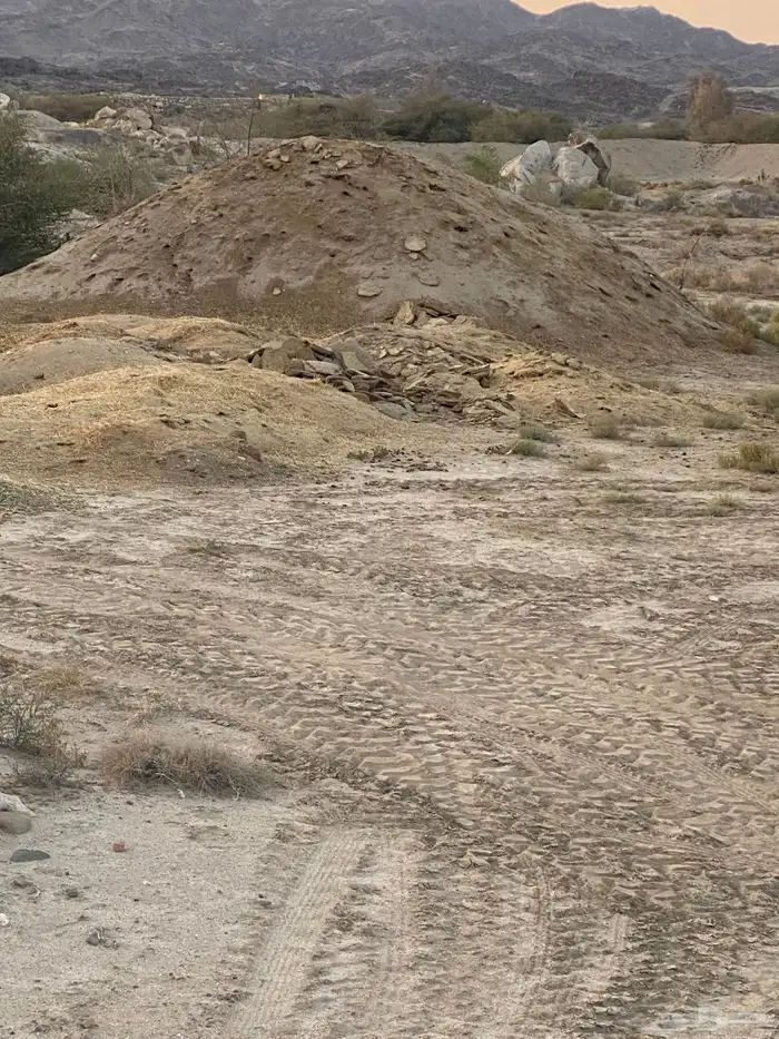 سماد غنم طبيعي 1