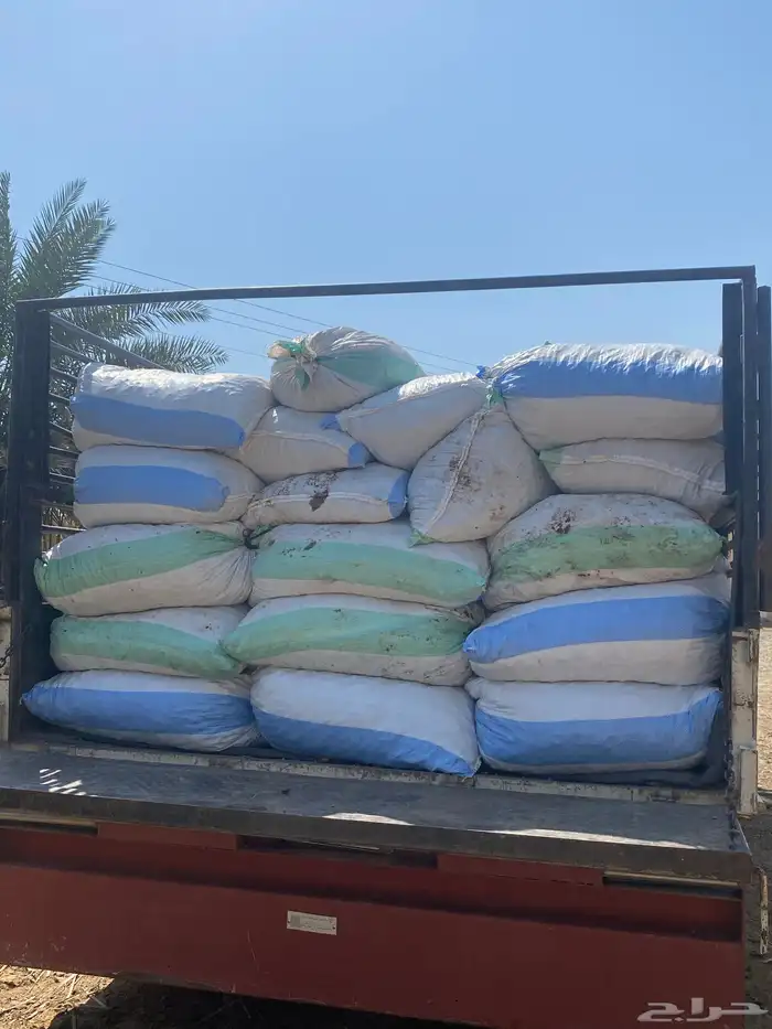 تمر حق حلال نظيف 0