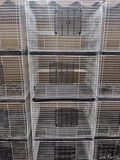 محاكر حمام مصريه index