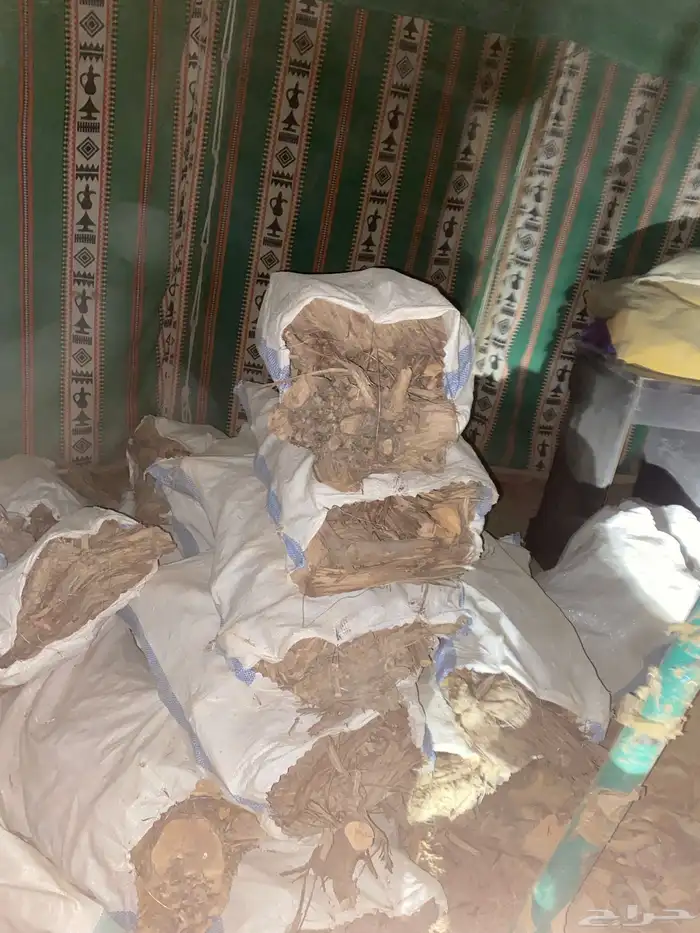 حطب عنب شرط شرط يابس وطيب وحطب كفو 0