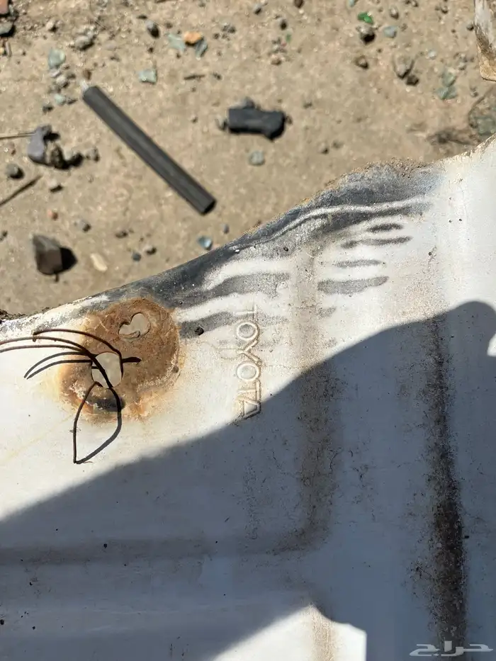 كبوت ورفارف كرسيدا 91 0