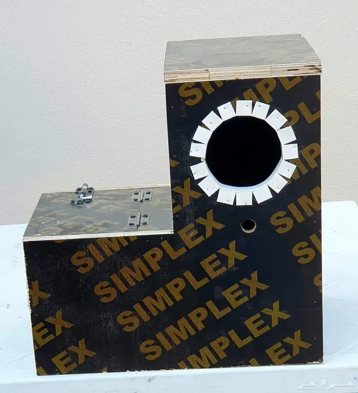 بياضات ببغاء كوكاتو والطيور المغردة 8