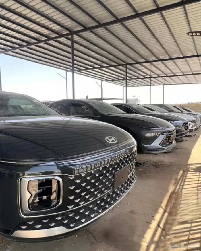 مندوب تشاليح الرياض( ) 8