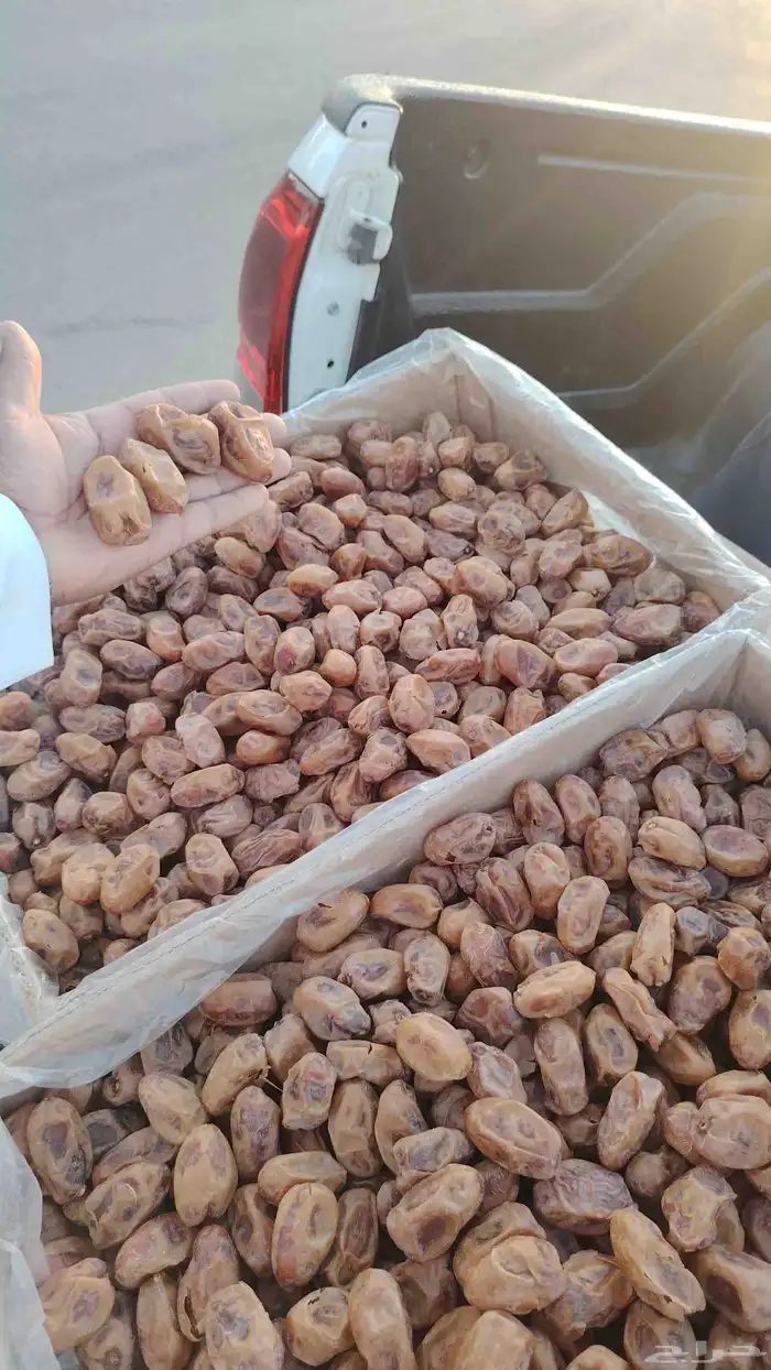 تمر إخلاص للبيع فاخر 2