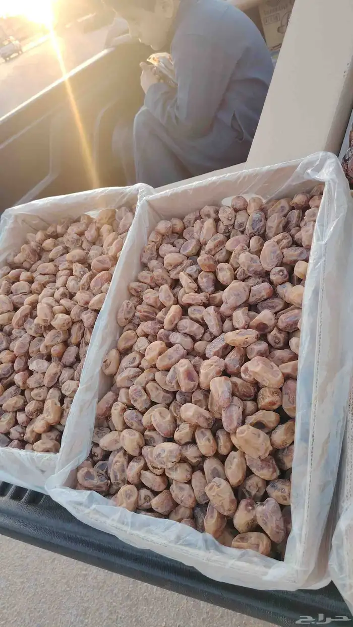 تمر إخلاص للبيع فاخر 0