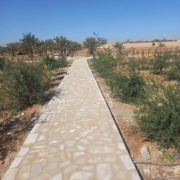 حجر طبيعي ربراب مجاري السيول ومشيات طرق وبلدوره حجر طبيعي 1