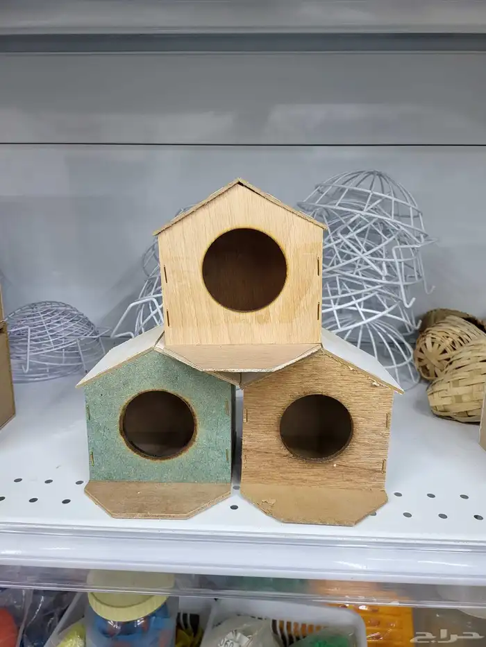 بياضات ببغاء كوكاتو والطيور المغردة 5