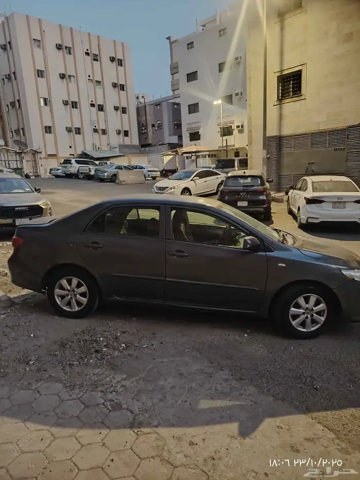 كوريلا 2010 4