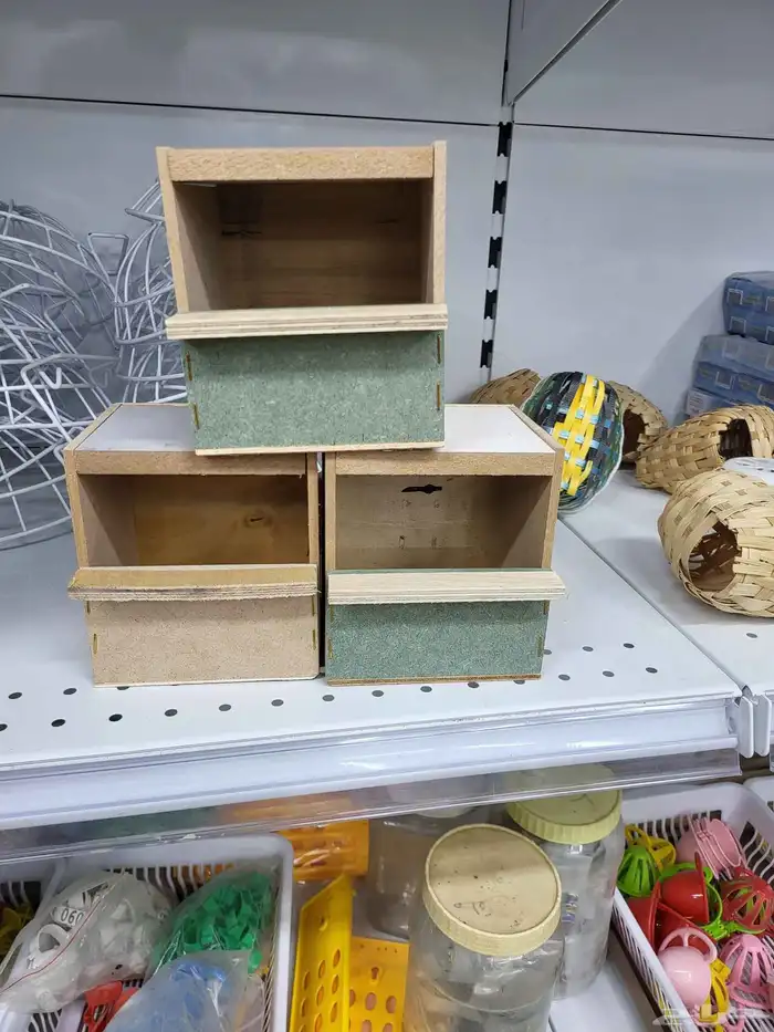 بياضات ببغاء كوكاتو والطيور المغردة 6