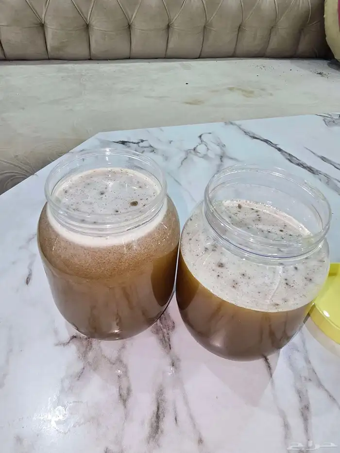 عسل سدر مضمون العرضيات 1