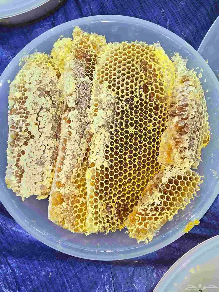 عسل سدر مضمون العرضيات 3