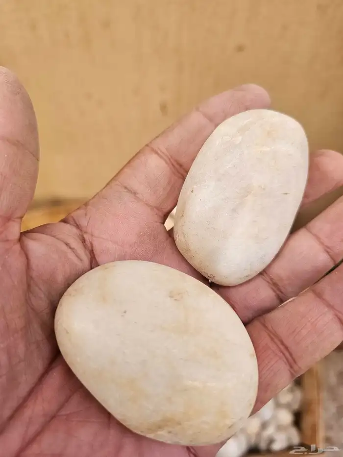 بيع حجر زينة 6