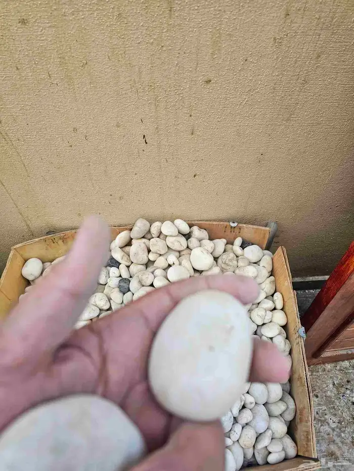 بيع حجر زينة 2