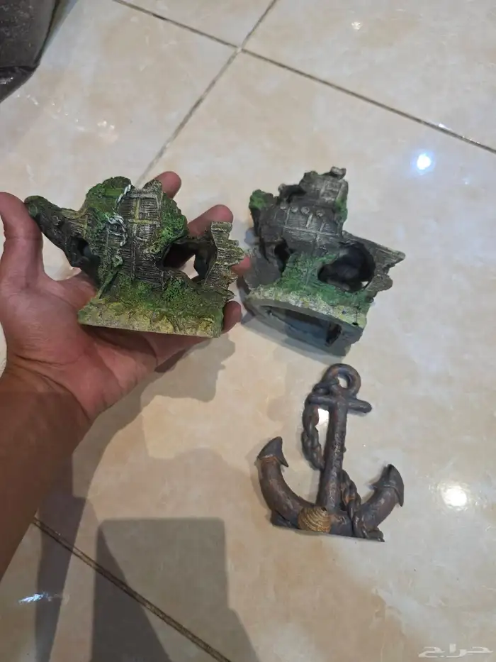 سمك زينه نوع جورامي مع سمكة الزبال مع ديكورات بدون حوض 7