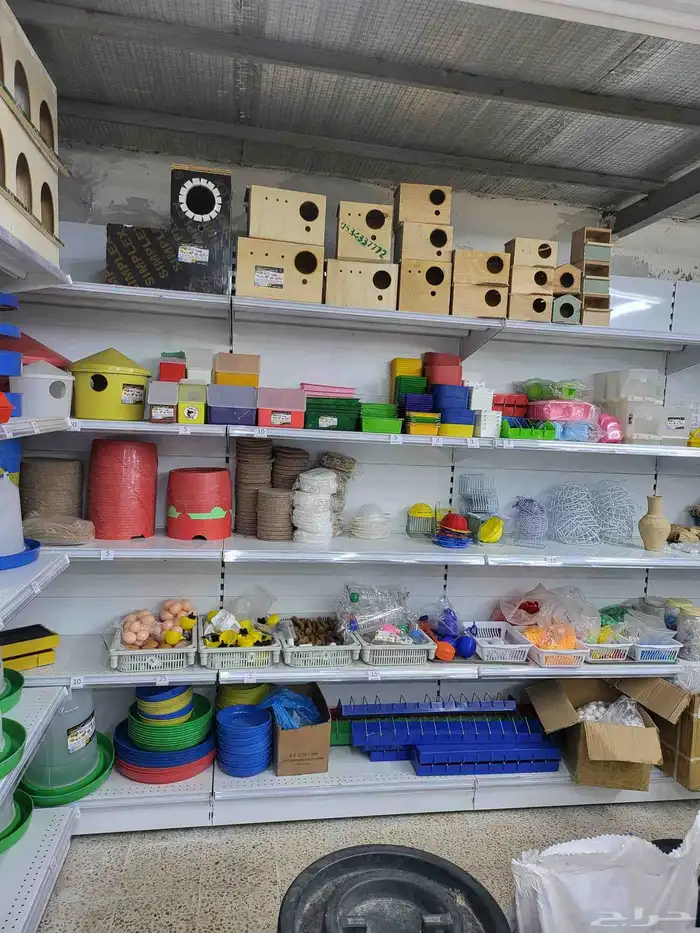 بياضات ومستلزمات ببغاء وطيور مغردة 0