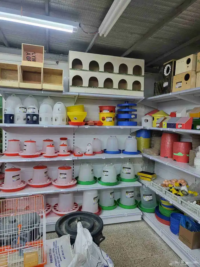 بياضات ومستلزمات ببغاء وطيور مغردة 3